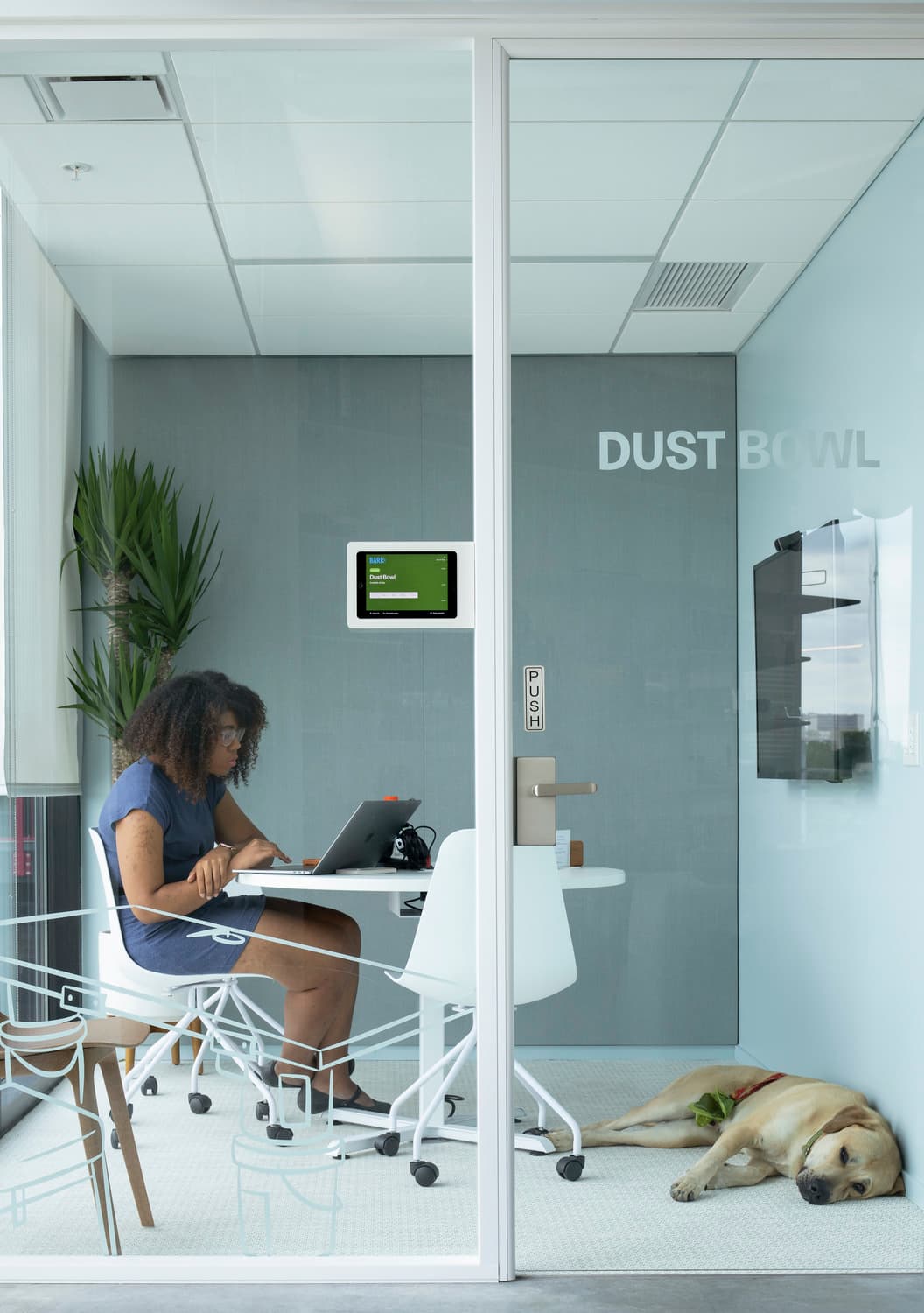 Columbus, Gravity, NBBJ, OH, dog, interiors, tenant improvement, workplace