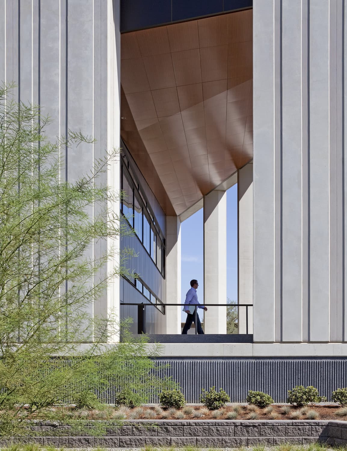 Steve Preferred, precast